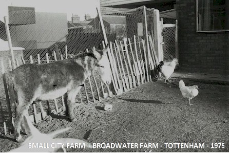 small_city_farm2_broadwater_farm-tottenham_1975.jpg (57662 bytes)