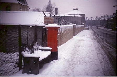 philip_lane_looking_west_snow_1963.jpg (41002 bytes)